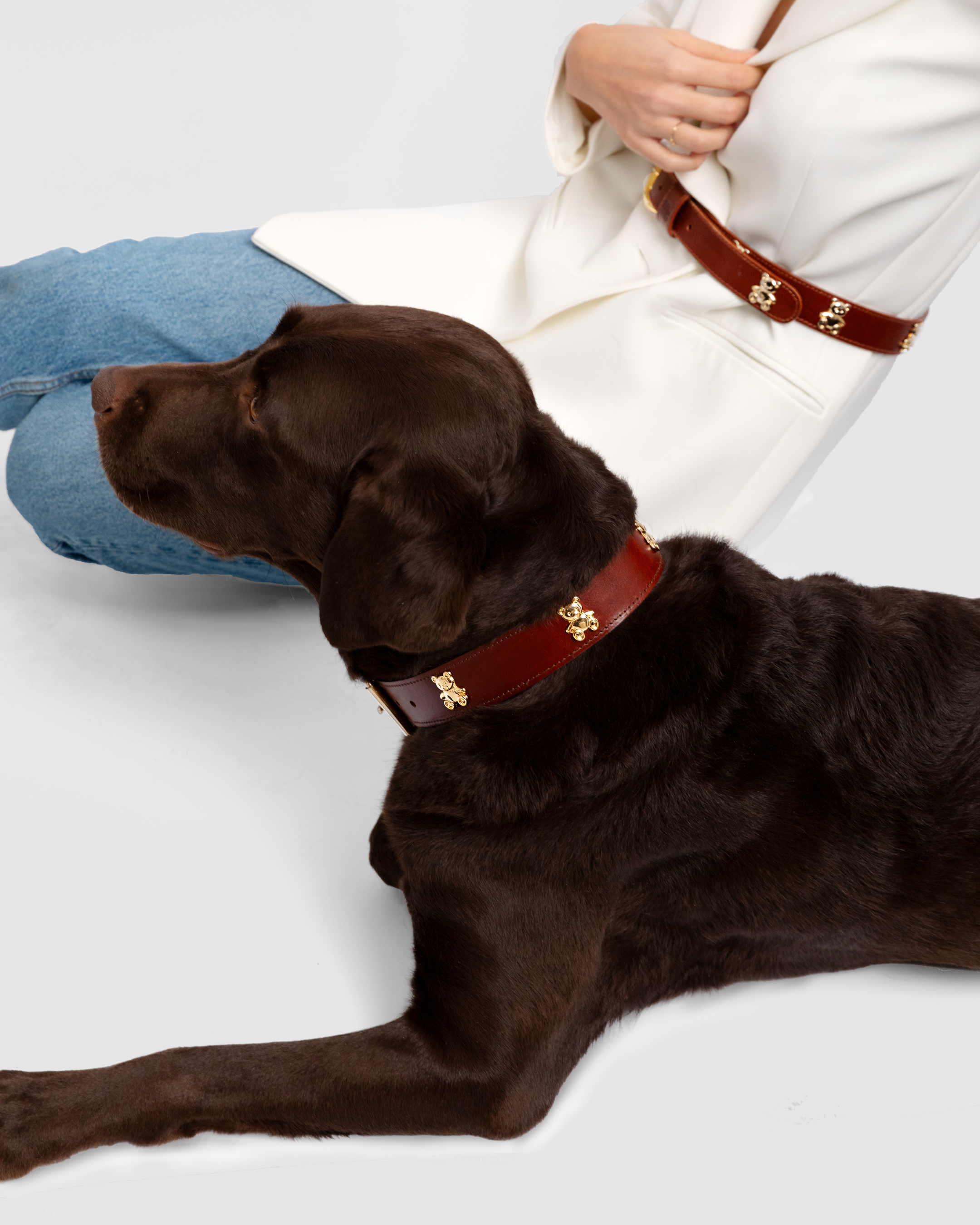 Teddy Dog Collar
